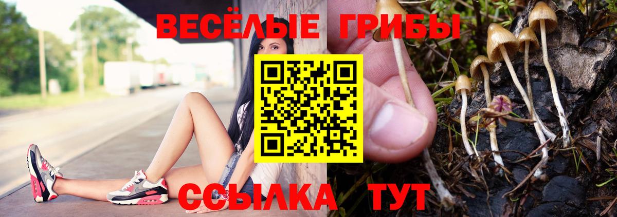 Галлюциногенные грибы Magic Shrooms  Вход с VPN  Богородск 